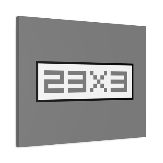 23x3